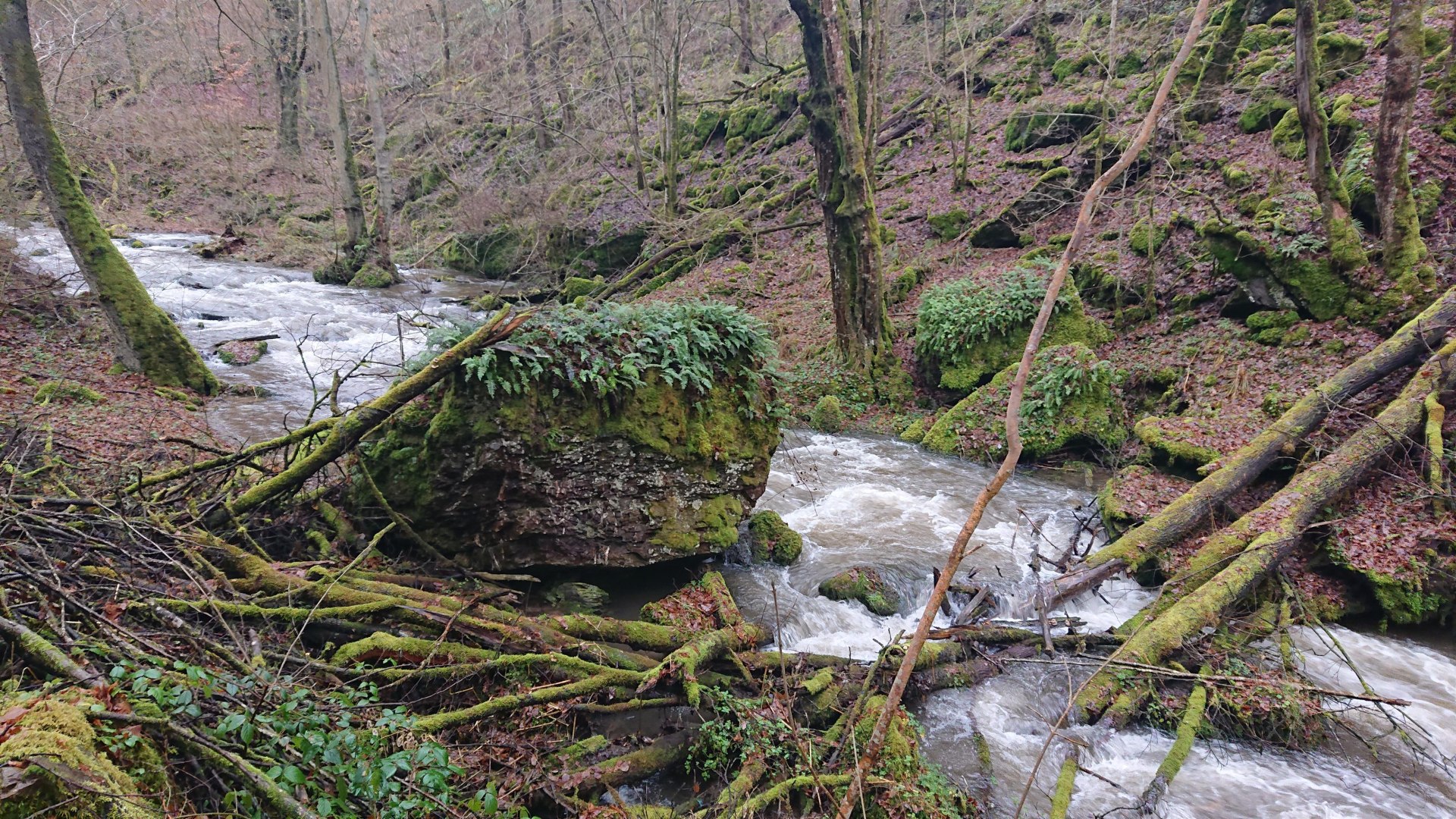 Steinrausch im Baybachtal | © T. Biersch