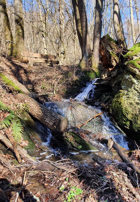 Murscher Bach 2 | © T. Biersch