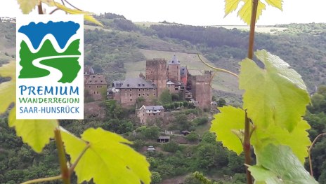 Blick auf Rheinfels durch 2 Weinreben hindurch fotographiert | &copy; TI Hunsr&uuml;ck-Mittelrhein