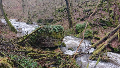 Steinrausch im Baybachtal | © T. Biersch