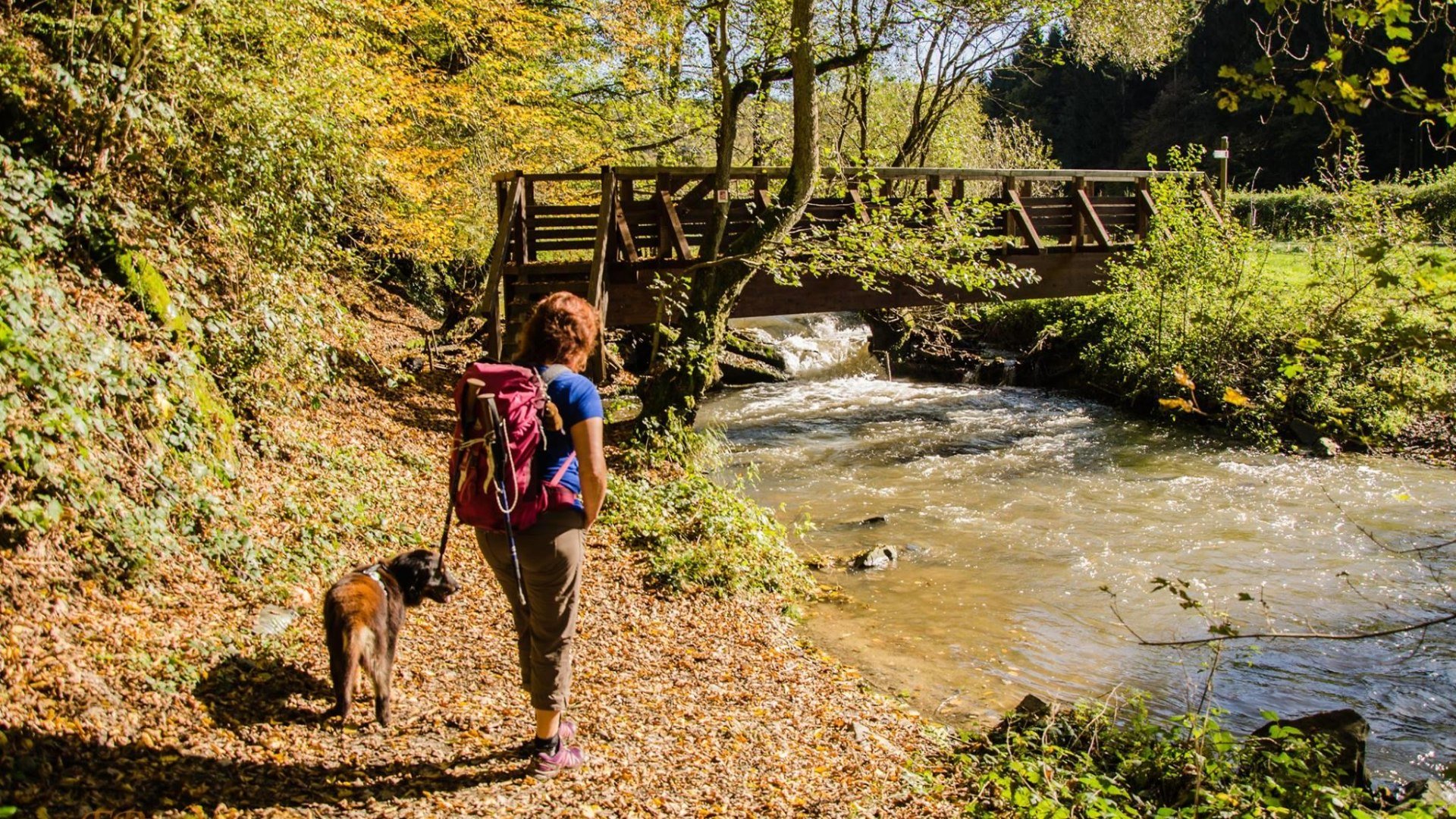 Br&uuml;cke an der Mohrenm&uuml;hle | &copy; T. Biersch