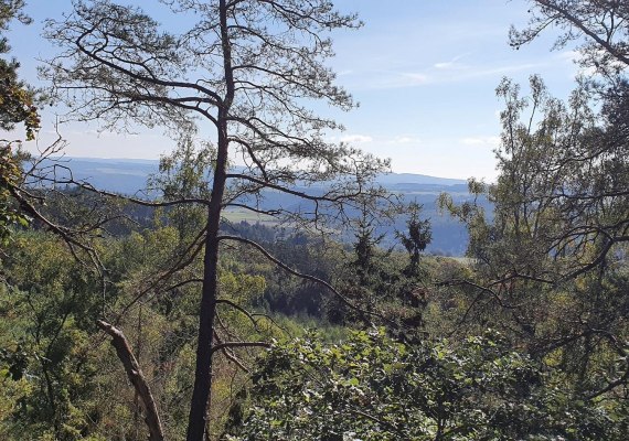 Weitblick am Kleinm&ouml;dersnack | &copy; T. Biersch