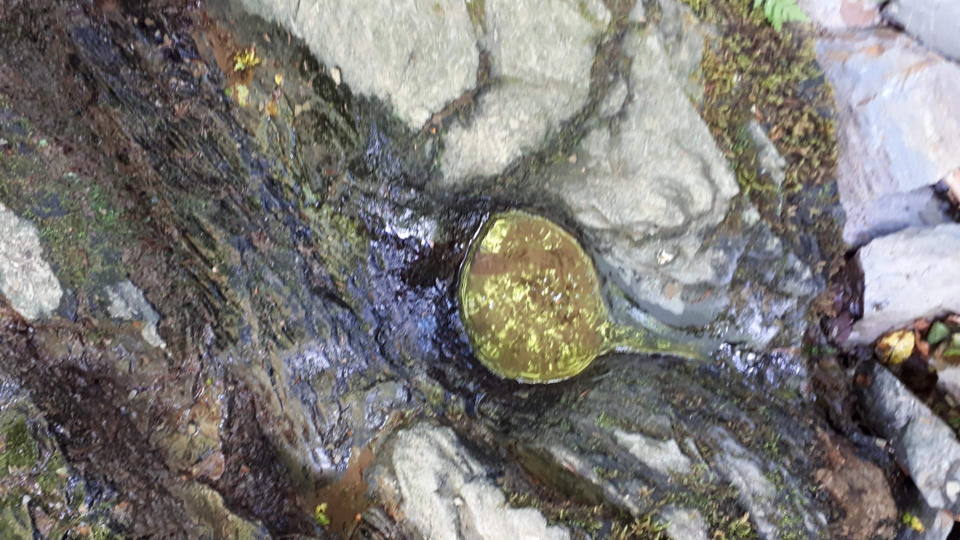 Schessels-Beersche | &copy; G. Liesenfeld