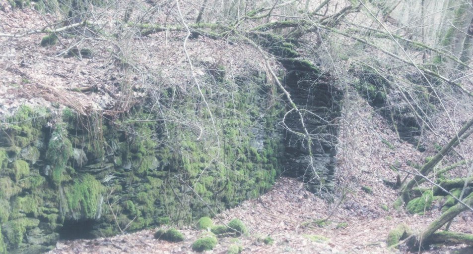 Ruine Kneipenmühle | © T. Biersch Ruine Kneipenmühle | © T. Biersch