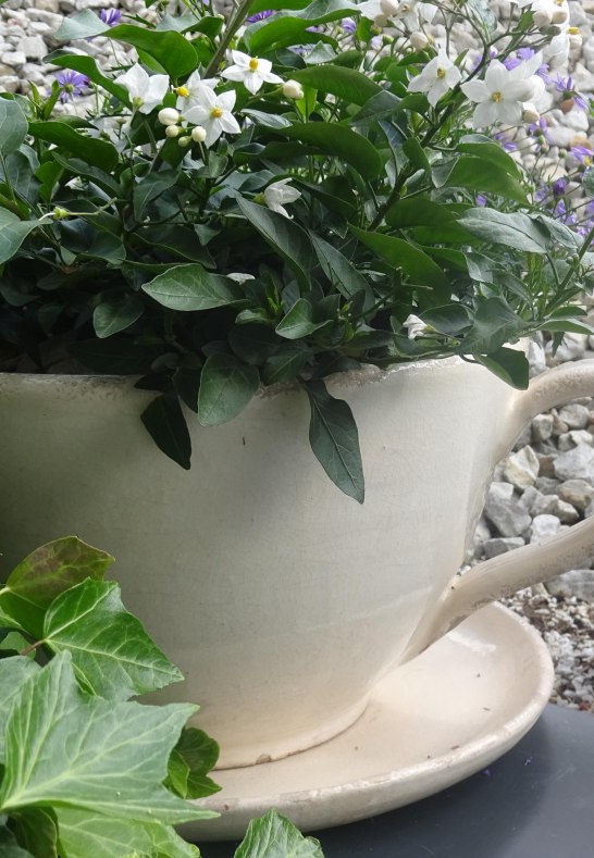 Deko | &copy; Karin Weber