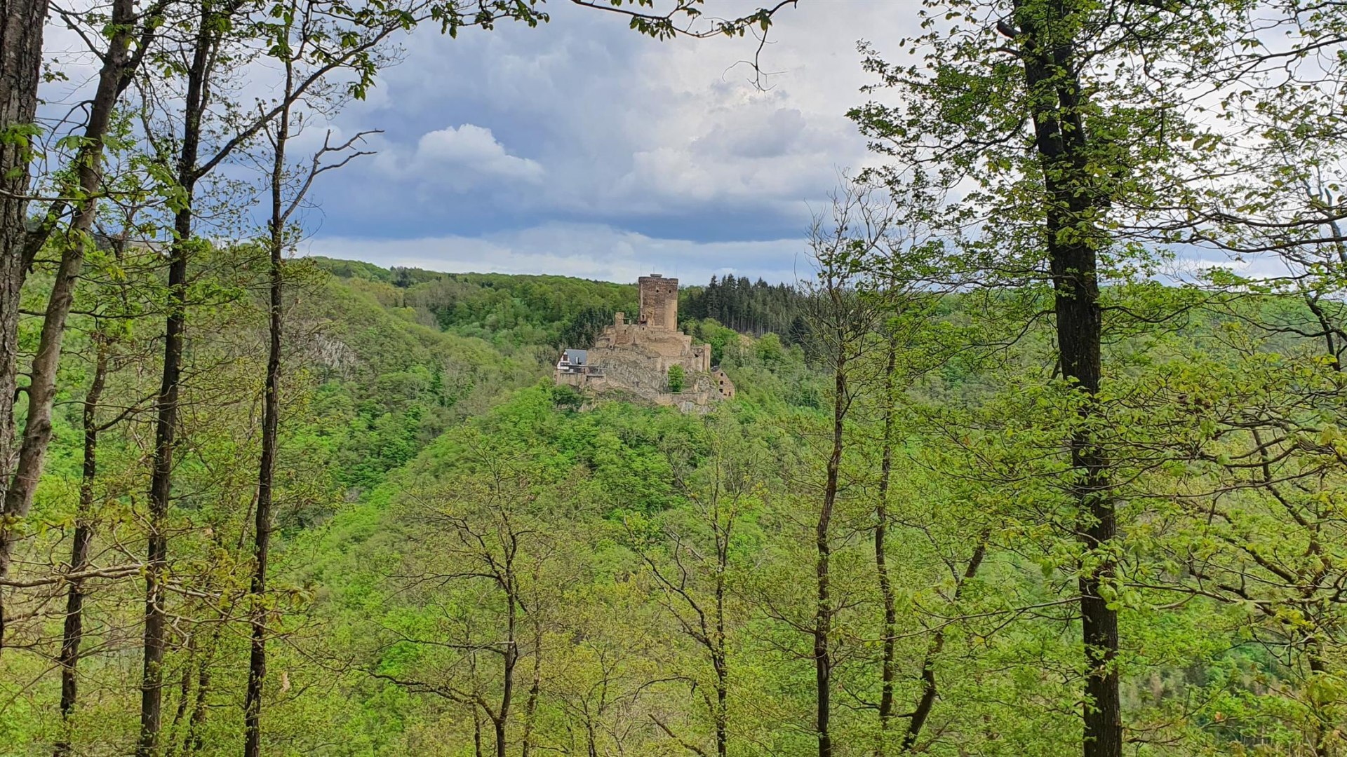 Ehrenburgblick | © T. Biersch Ehrenburgblick | © T. Biersch