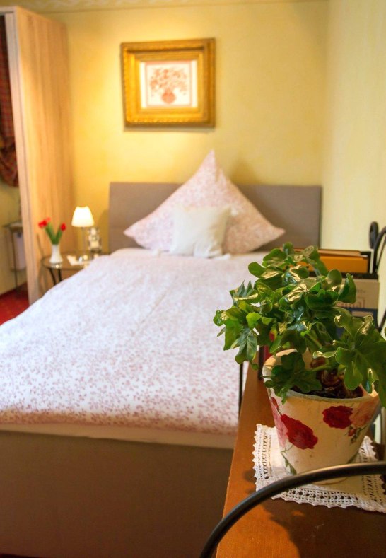 Komfortzimmer Mauerbl&uuml;mchen Ansicht | &copy; Weinhaus Weiler