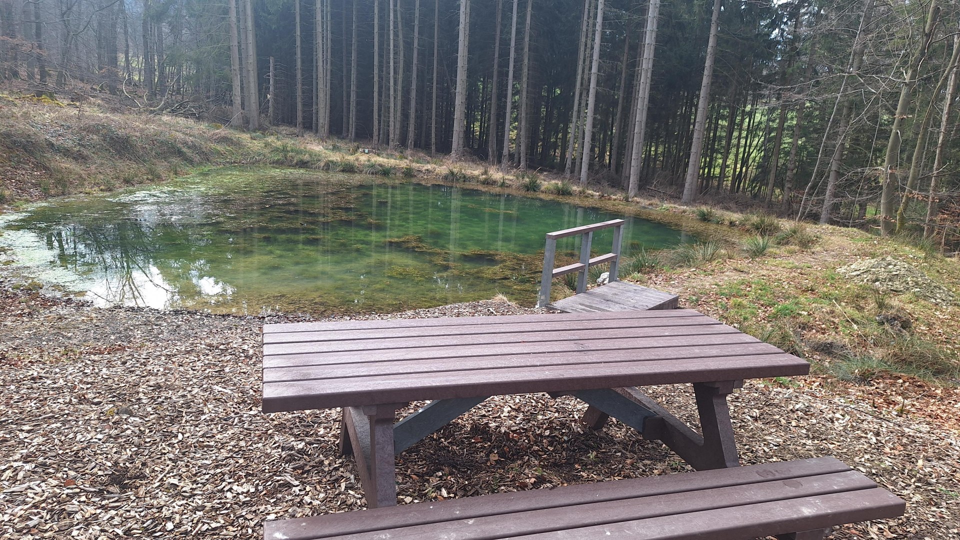 Picknickbank am Himmelsteich | © T. Biersch Picknickbank am Himmelsteich | © T. Biersch