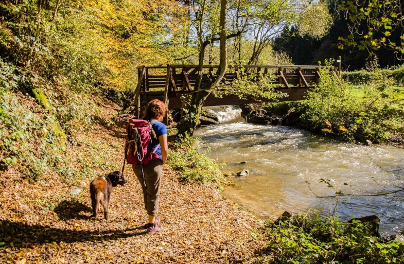 Br&uuml;cke an der Mohrenm&uuml;hle | &copy; T. Biersch