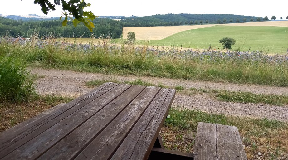 Picknickbank mit Fernblick | © C. Vogt