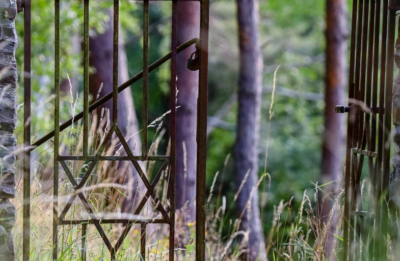 Jüdischer Friedhof Eingang | © TI Oberwesel Jüdischer Friedhof Eingang | © TI Oberwesel
