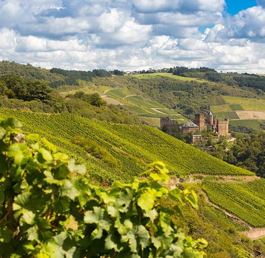 Weingut Lanius-Knab_Engehöller Bernstein_Schönburg | © Lanius-Knab Weingut Lanius-Knab_Engehöller Bernstein_Schönburg | © Lanius-Knab
