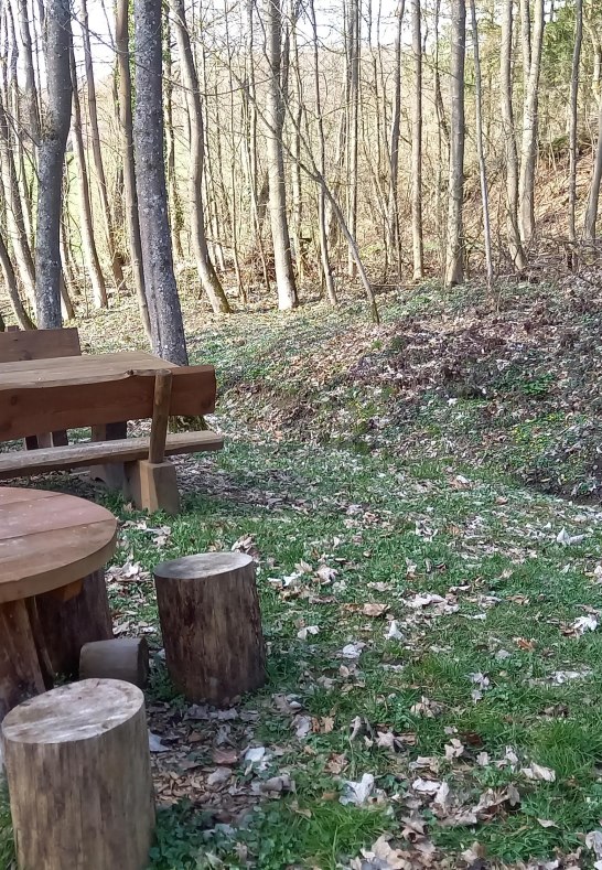 Picknickplatz | &copy; C. Vogt