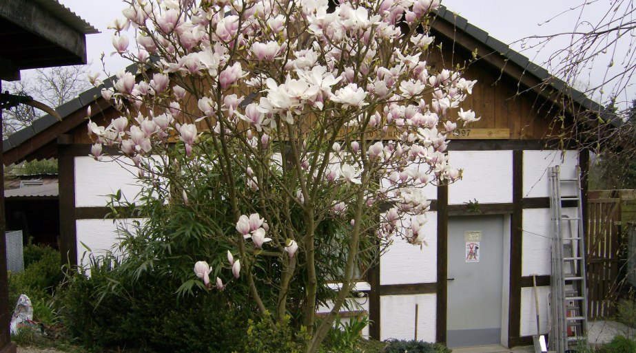 Intasienmuseum Eingang | © C. Schmeisser