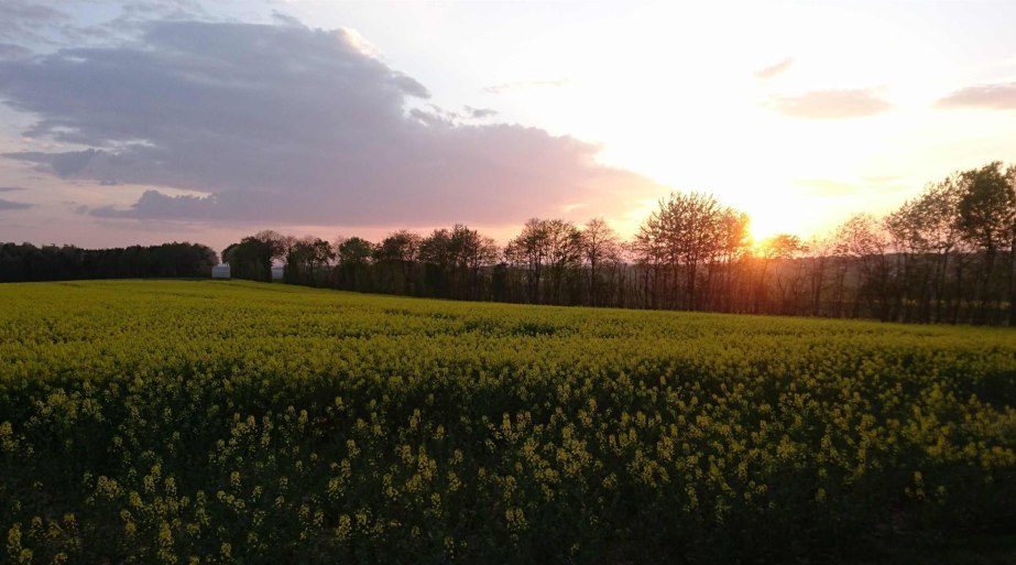 Abendstimmung | © B. Vogt