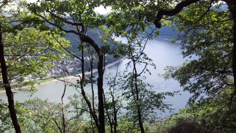 Traumschleife Rheingold Blick auf Rhein