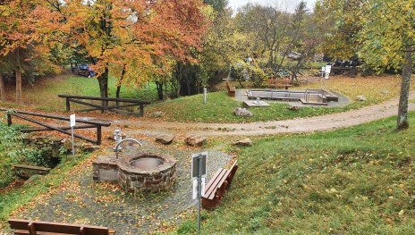 Niederburger Wassertretbecken | &copy; T. Biersch