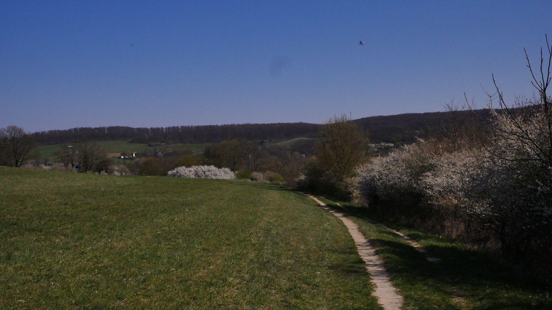 Wanderlust | © Bernhard Vogt Wanderlust | © Bernhard Vogt