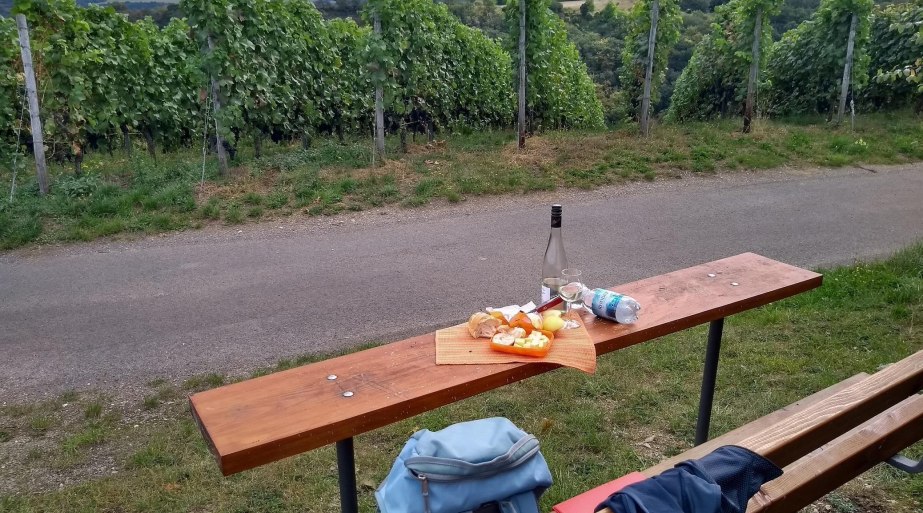 Picknickbank am Weinberg | &copy; E. Bender