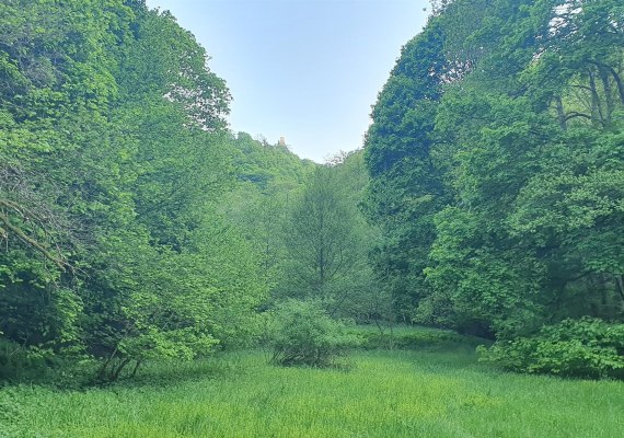 Wiesental an der Roskerbr&uuml;cke | &copy; T. Biersch