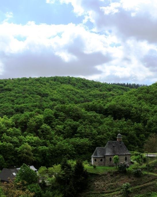 Aussicht | &copy; Tanja Paschek