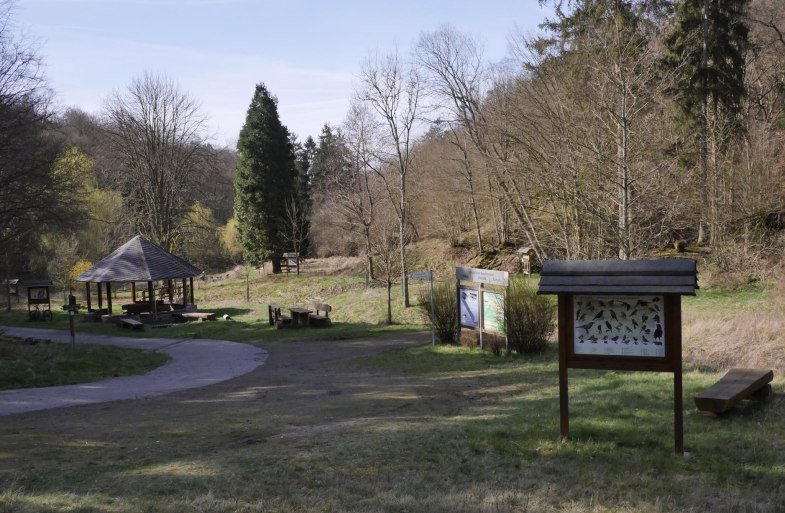 Waldforum | &copy; Bernhard Vogt