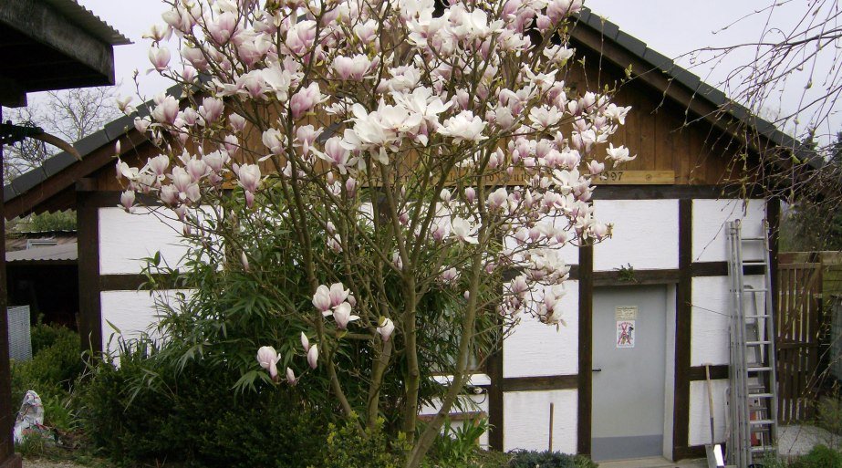 Intasienmuseum Eingang | &copy; C. Schmeisser