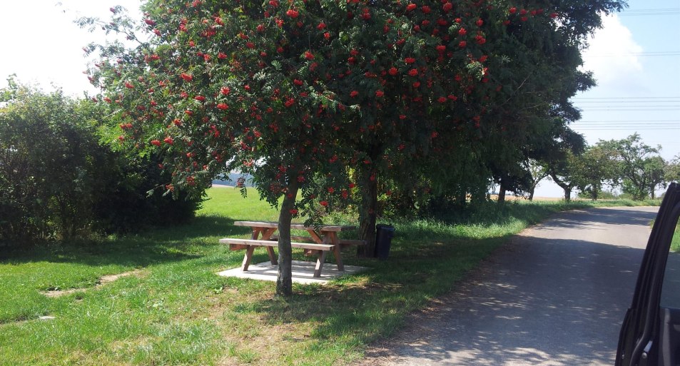 Rundweg Nr. 18 | &copy; t. biersch