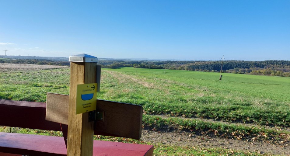 Eifelblick | &copy; T. Biersch