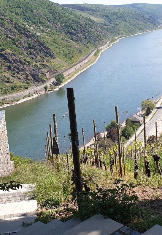 7-Jungfrauen-Blick 4 | © Tourist-Information Oberwesel 7-Jungfrauen-Blick 4 | © Tourist-Information Oberwesel