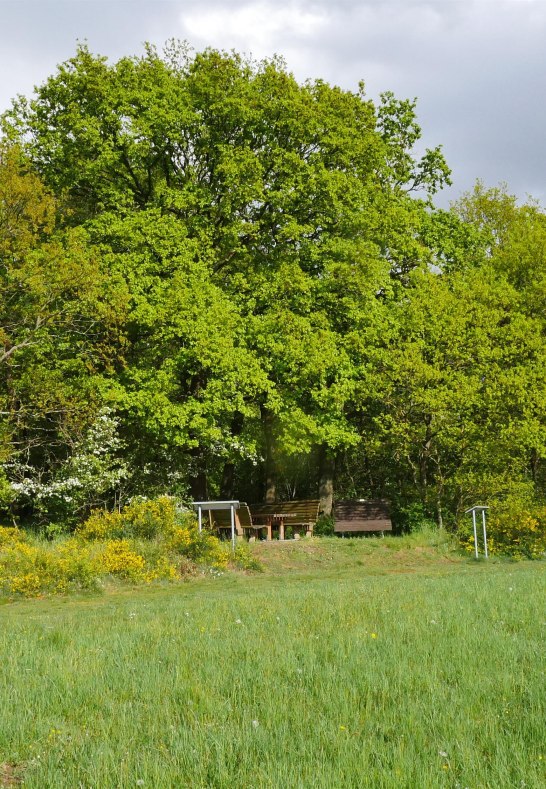 Eifelblick | © B. Vogt