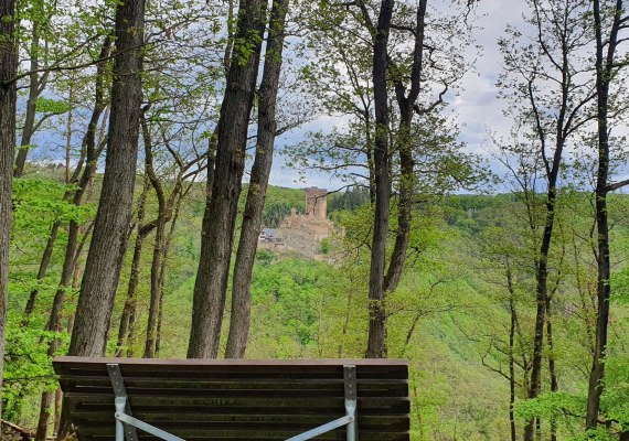 Ruhebank mit Ehrenburgblick | © T. Biersch