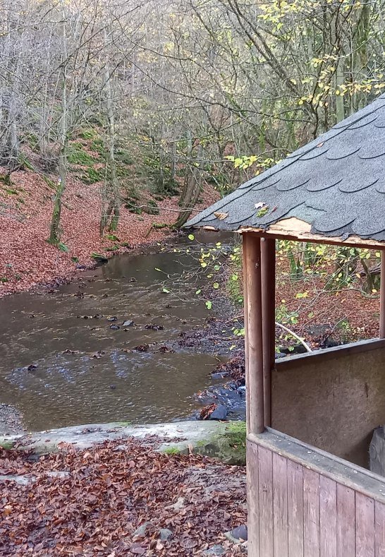Schutzhütte an der Rutsch | © C. Vogt Schutzhütte an der Rutsch | © C. Vogt