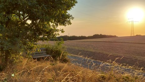 Ruhebank mit Aussicht | © B. Vogt