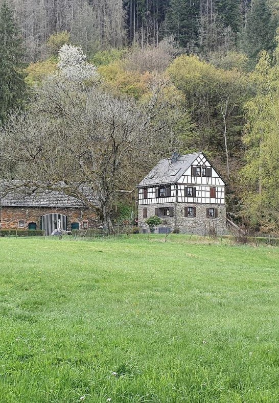 Franzenm&uuml;hle mit Wiesen | &copy; T. Biersch