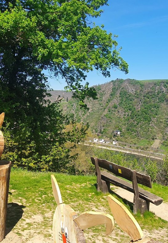 Ruhebank mit Blick auf die Burg Maus | &copy; T. Biersch