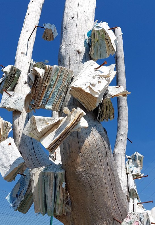 Baum mit Büchern | © T. Biersch