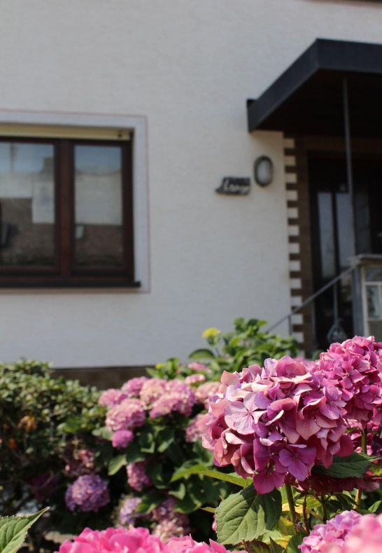 Au&szlig;enansicht 2 | &copy; S. Braun