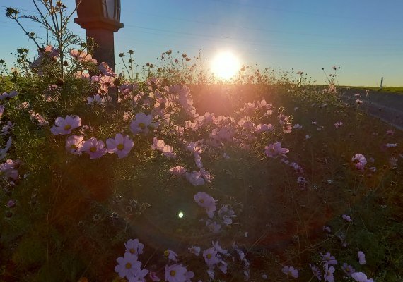 Sonnenuntergang | &copy; C. Vogt