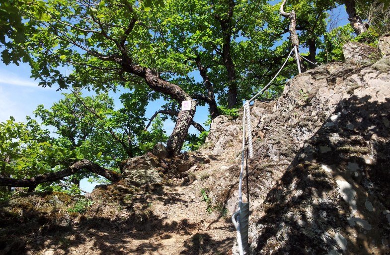 Felsen "Murscher Eselsche" | © T. Biersch
