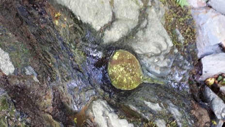 Schessels-Beersche | &copy; G. Liesenfeld