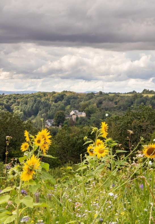 Hunsrücklandschaft mit Schloss | © S. Mauer Hunsrücklandschaft mit Schloss | © S. Mauer
