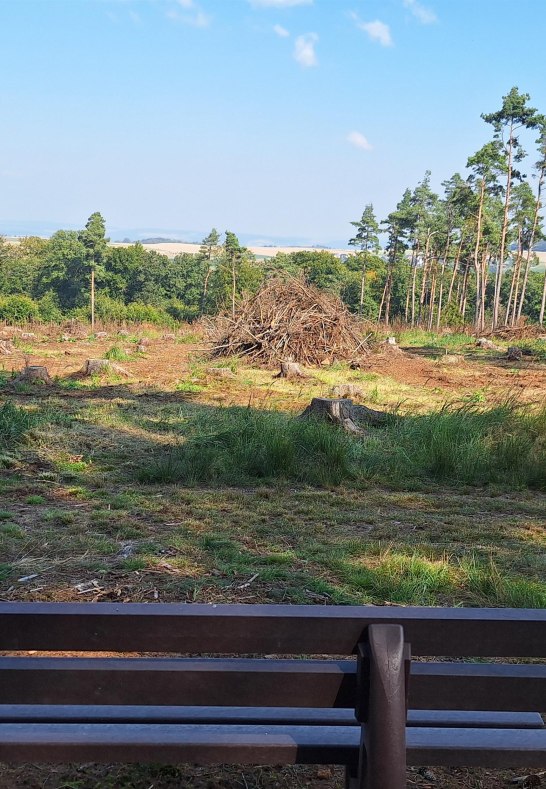Ruhebank im Kinderwald | © T. Biersch Ruhebank im Kinderwald | © T. Biersch