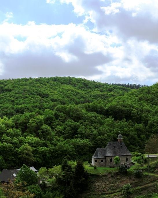 Aussicht | &copy; Tanja Paschek