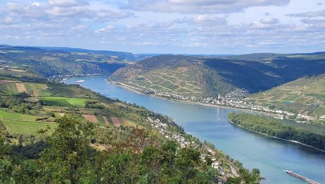 weite Aussicht über den Rhein | © Elke Bender