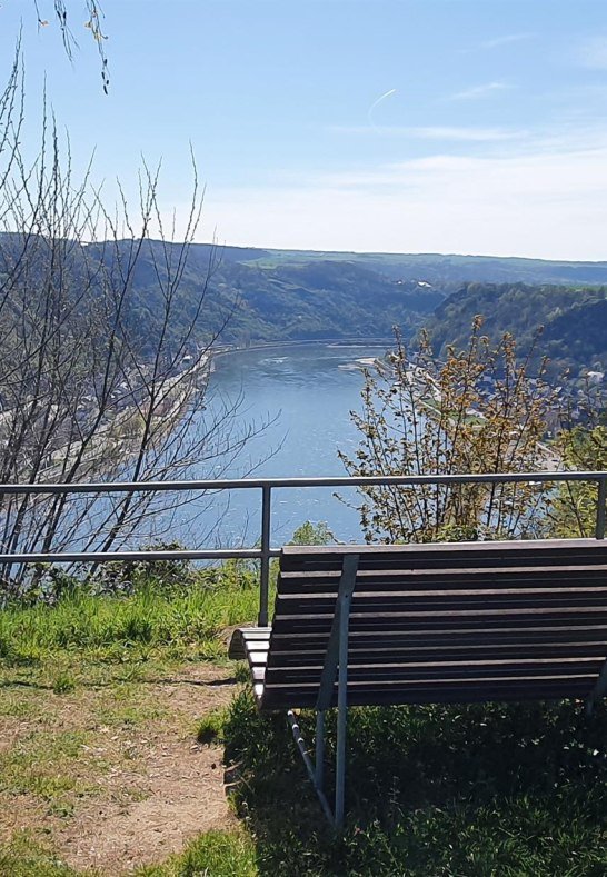 Ruhebank am Werlauer Pilz | © T. Biersch Ruhebank am Werlauer Pilz | © T. Biersch