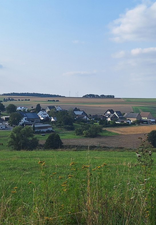 Ginsterbergblick nach Birkheim | © TI Hunsrück-Mittelrhein
