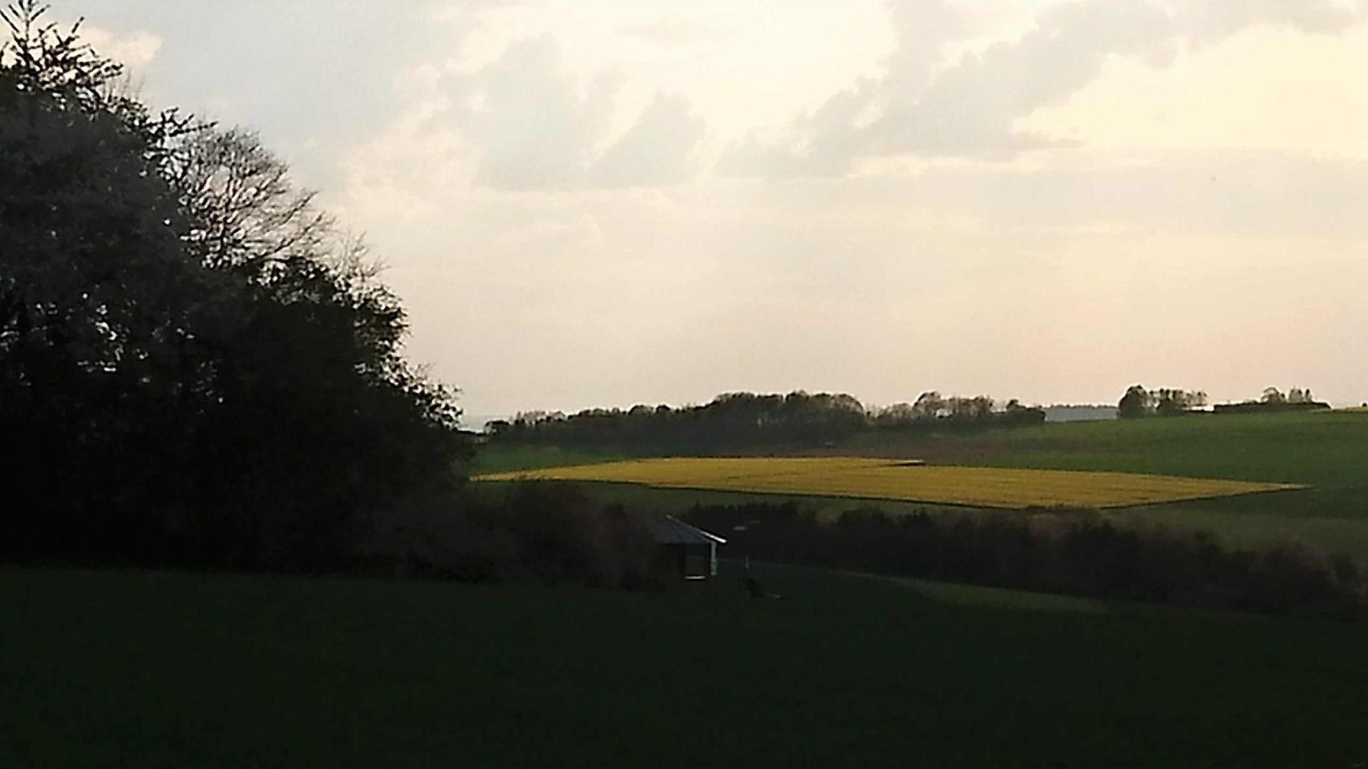 Ausblick Steinkaul | &copy; B. Vogt