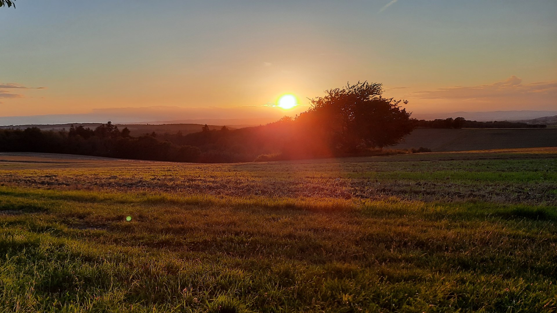 Sonnenuntergang vom Kuckuckskopf in Halsenbach | © Sandra Michel