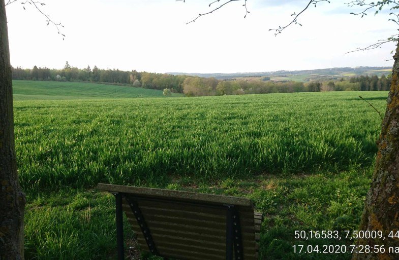 Ehrbachblick mit Ruhebank | &copy; B. Vogt